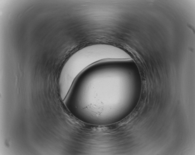 X0000096160517200801180854