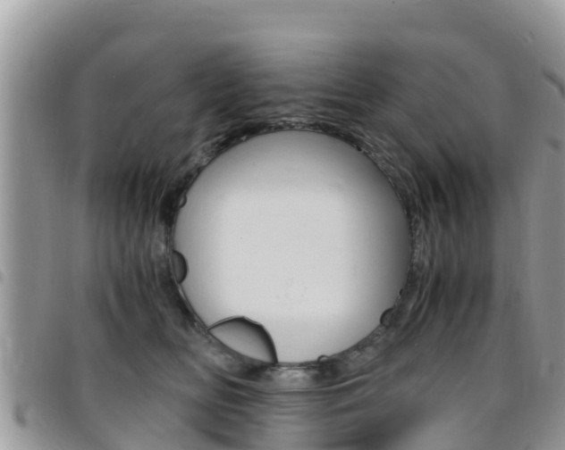 X0000096160518200801180854