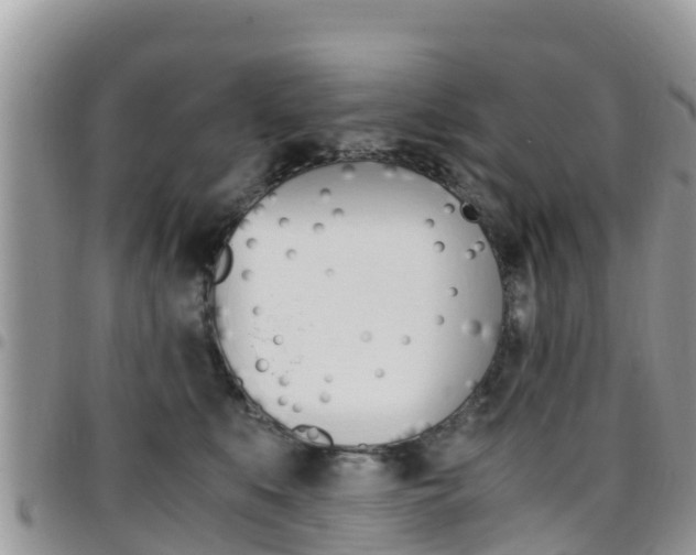 X0000096160519200801180854