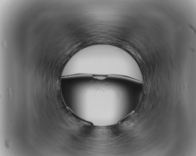 X0000096160521200801180854