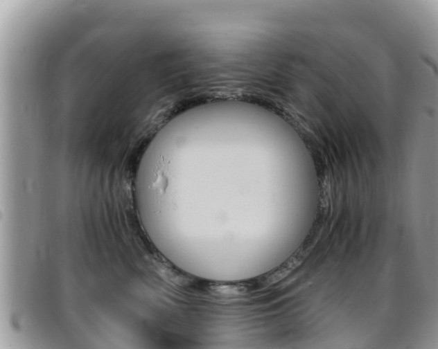 X0000096160522200801180854