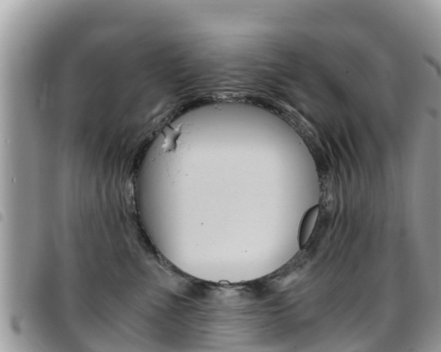 X0000096160523200801180854
