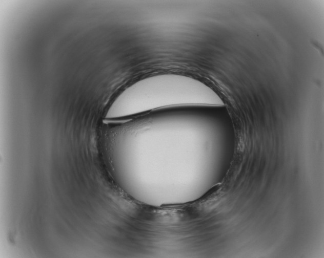 X0000096160524200801180854