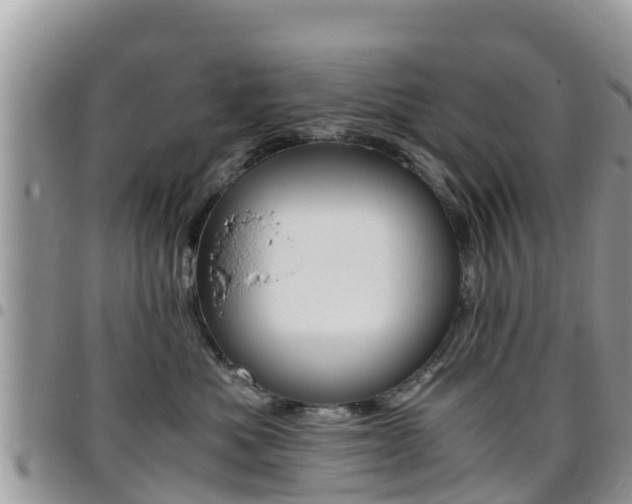 X0000096160525200801180854