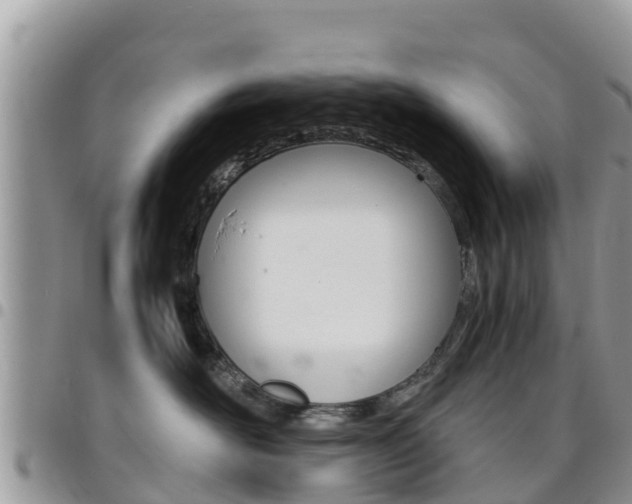 X0000096160526200801180854