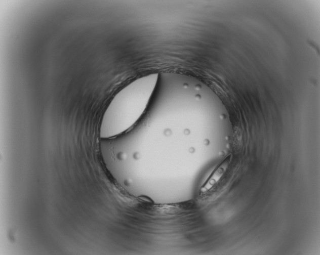 X0000096160527200801180854