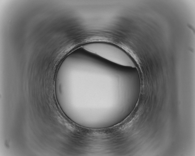 X0000096160529200801180853