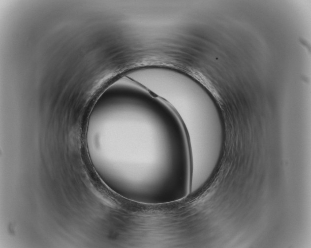 X0000096160530200801180853