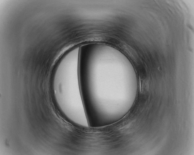 X0000096160531200801180853