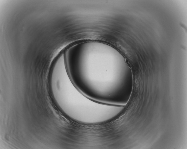 X0000096160532200801180853