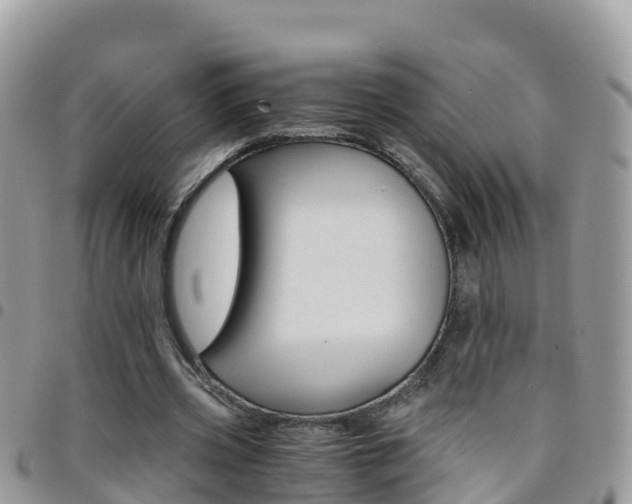 X0000096160533200801180853