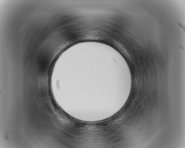 X0000096160534200801180853