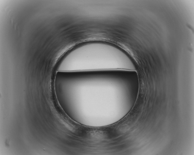 X0000096160535200801180853
