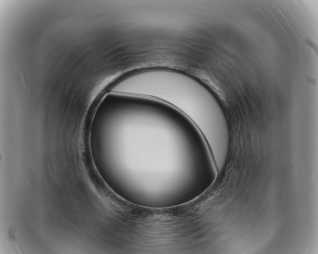 X0000096160536200801180853
