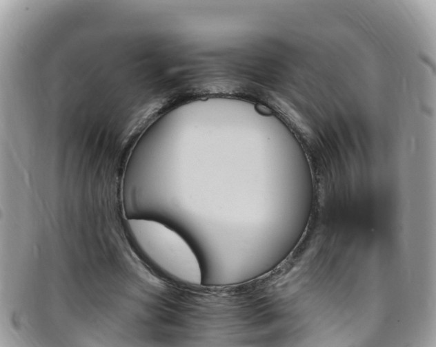 X0000096160537200801180853