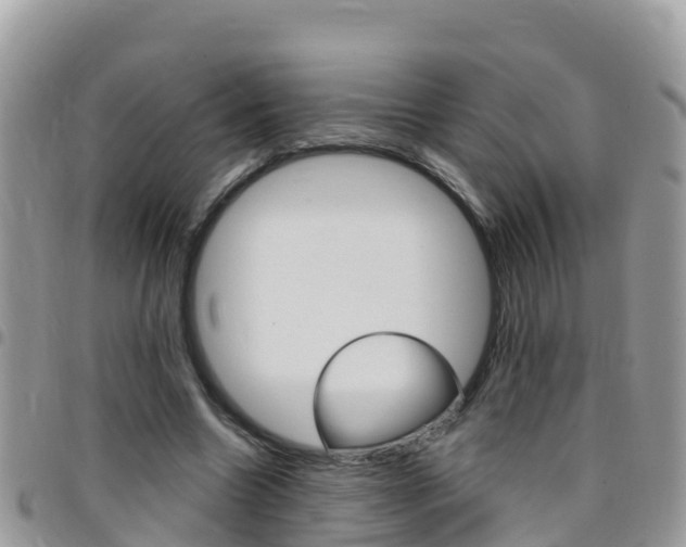 X0000096160538200801180853