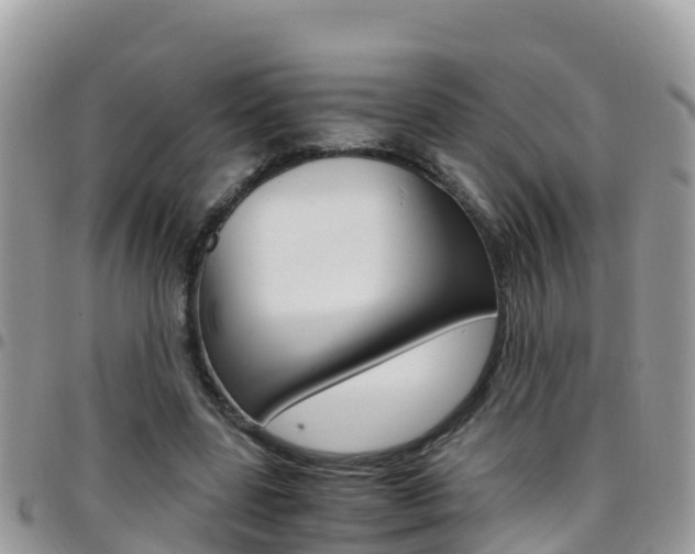 X0000096160539200801180853