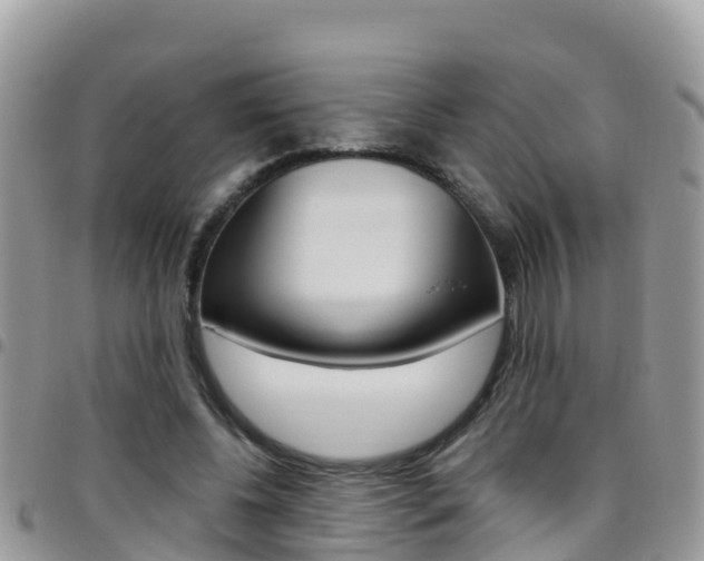 X0000096160540200801180853
