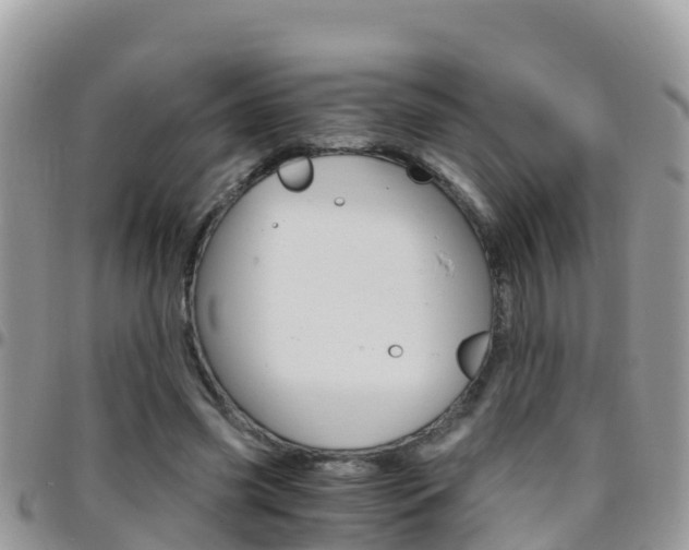 X0000096160541200801180853