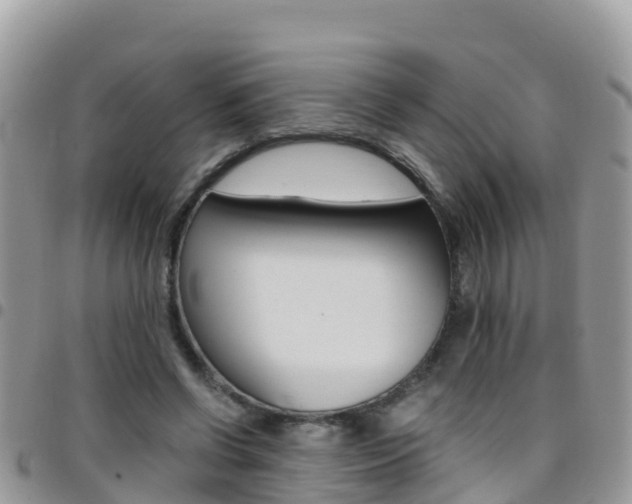 X0000096160542200801180853