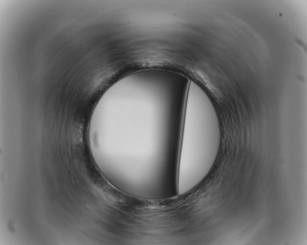 X0000096160543200801180853