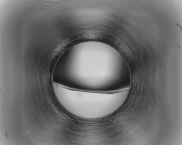 X0000096160544200801180853