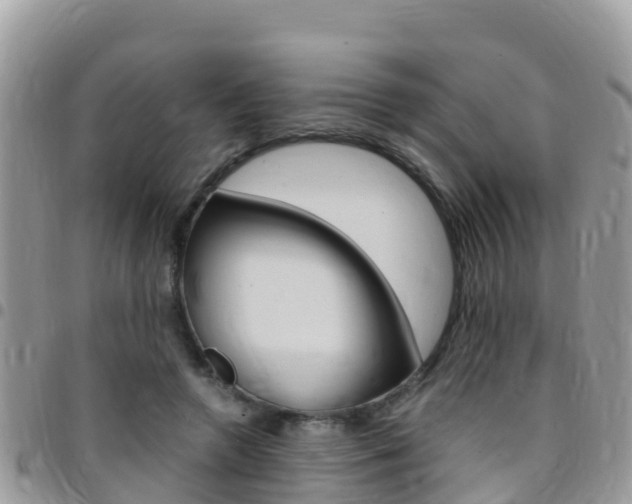 X0000096160546200801180853