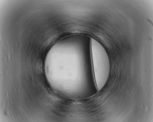 X0000096160547200801180853