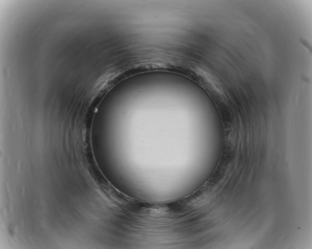 X0000096160548200801180853
