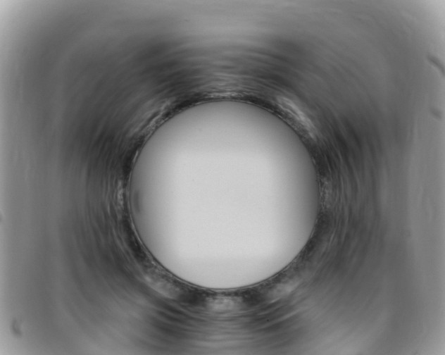 X0000096160549200801180853