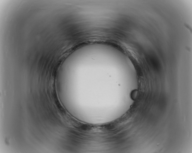 X0000096160550200801180853