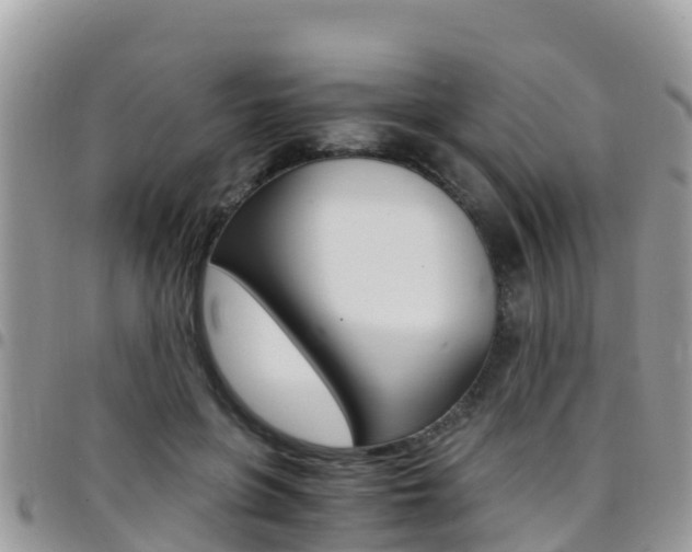 X0000096160551200801180854