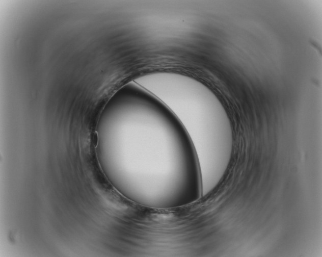 X0000096160552200801180854