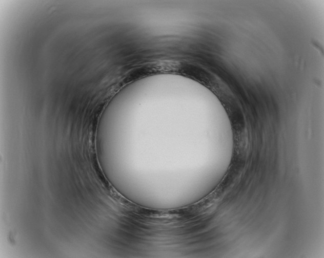 X0000096160553200801180854