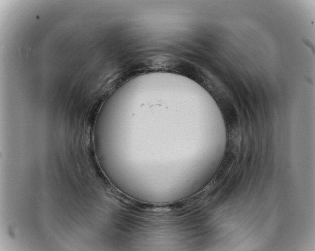 X0000096160554200801180854
