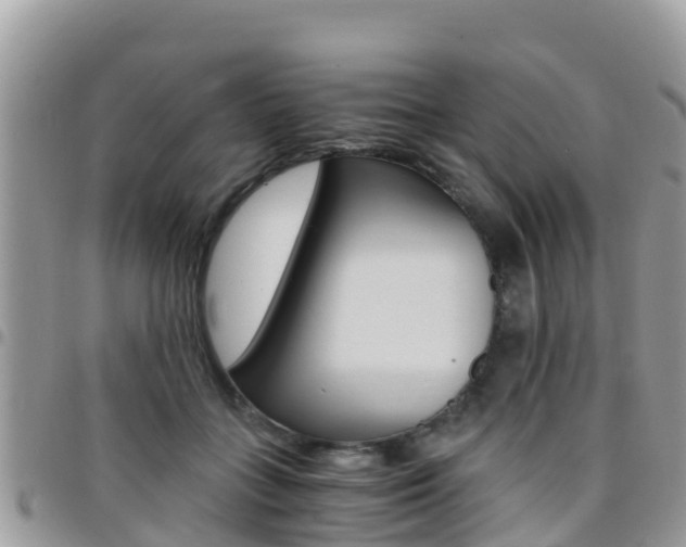 X0000096160555200801180854