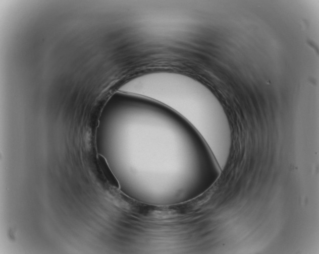 X0000096160556200801180854