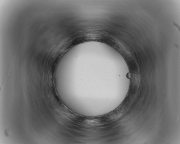 X0000096160557200801180854