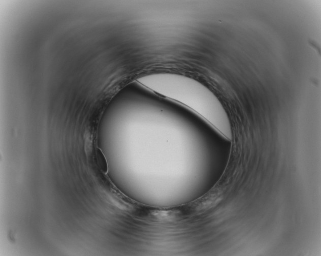 X0000096160558200801180854