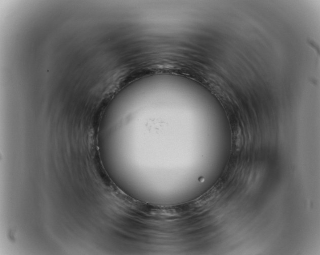 X0000096160559200801180854