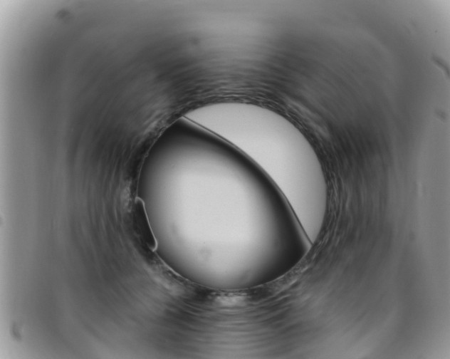 X0000096160560200801180854