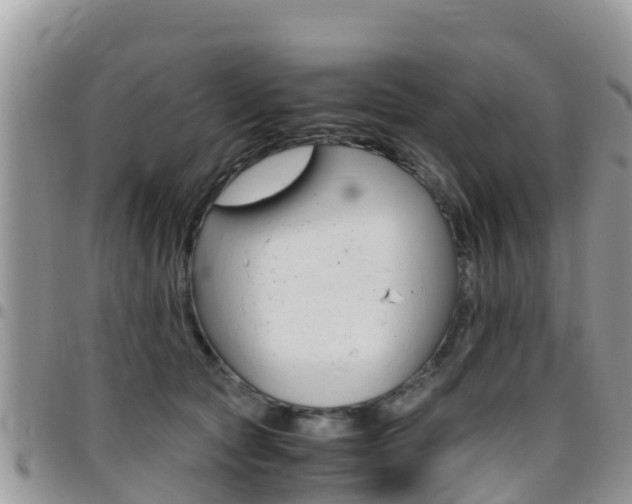 X0000096160561200801180854