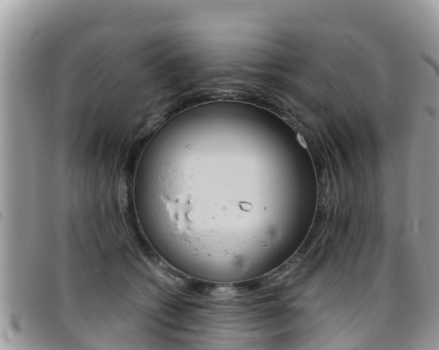 X0000096160562200801180854