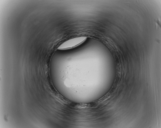 X0000096160563200801180854