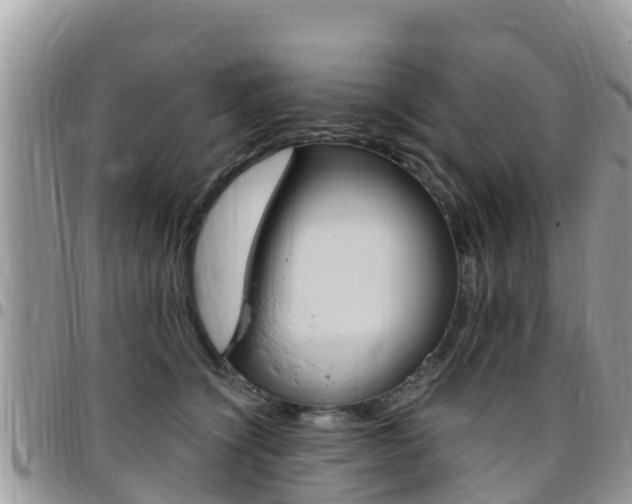 X0000096160564200801180854