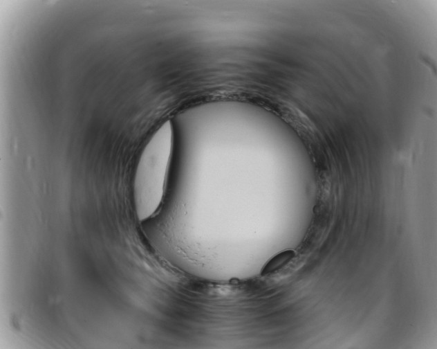X0000096160565200801180854