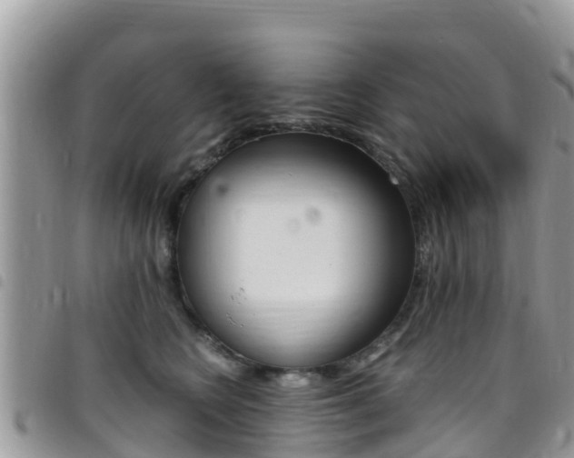 X0000096160566200801180854
