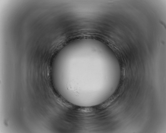 X0000096160567200801180854