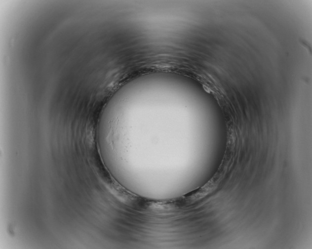 X0000096160568200801180854