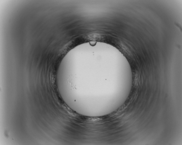 X0000096160569200801180854